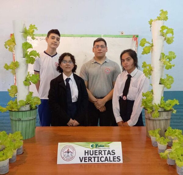 Estudiantes realizan huertas verticales - Nacionales - ABC Color