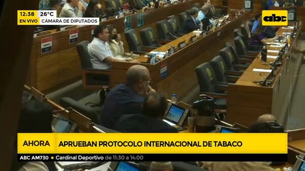 Diputados aprueba protocolo anticontrabando del tabaco - ABC Noticias - ABC Color