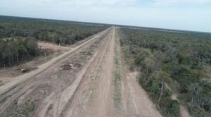 5 pistas clandestinas de narcos intervenidos por la SENAD – Prensa 5