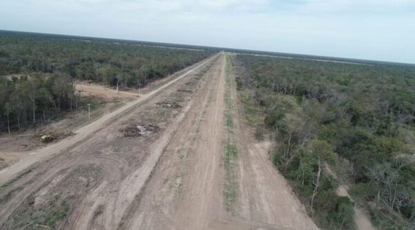 5 pistas clandestinas de narcos intervenidos por la SENAD – Prensa 5