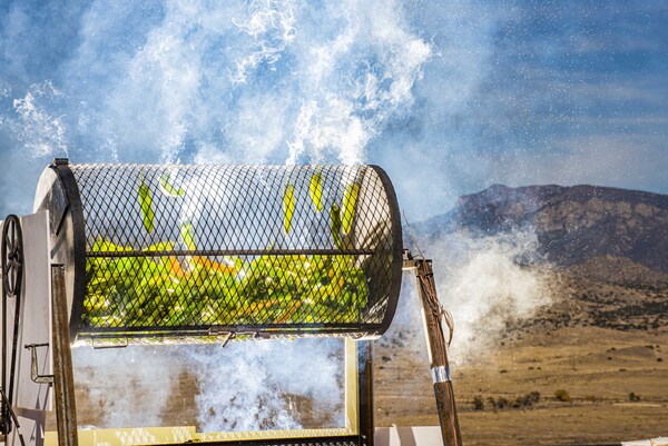 El tostado del chile verde con energía solar los hace sabrosos yecológicos - MarketData