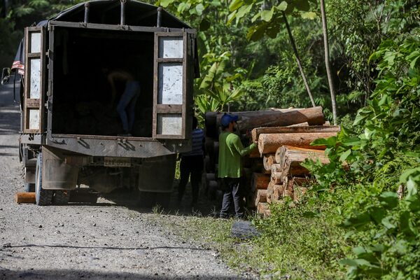 Ecuador prepara una norma para certificar a los productos libres de deforestación - MarketData