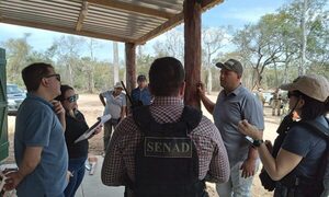 Allanan pistas clandestinas en el Chaco vinculadas al tráfico internacional de cocaína – Diario TNPRESS