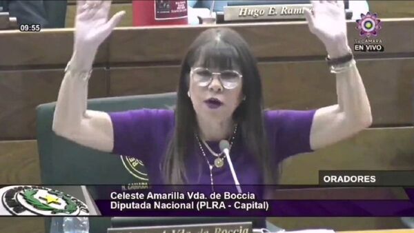 Celeste Amarilla señaló a "empresas de maletín" que acaparan almuerzo escolar