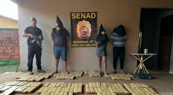 Allanan una casa incautan 287 kilos de marihuana y detienen a tres personas en PJC