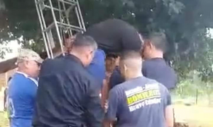 Niño subió a un árbol y amenazó con tirarse porque su madre le sacó su “juguetito” - Noticiero Paraguay