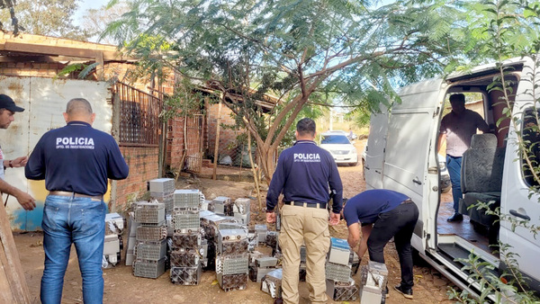 Recuperan más de 250 máquinas de Bitcoin durante allanamiento de una vivienda en CDE - La Clave