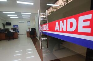ANDE ya benefició con exoneraciones a casi 400.000 clientes mediante campaña "Epaga ha epaga sa'ive" - .::Agencia IP::.