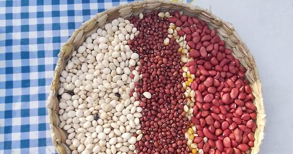 Invitan a feria de semillas nativas y criollas “Heñói Jey 2022”