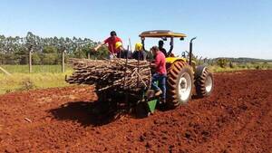 Gobernación prosigue con asistencia a pequeños productores de Itapúa
