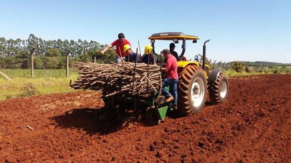 Gobernación prosigue con asistencia a pequeños productores de Itapúa
