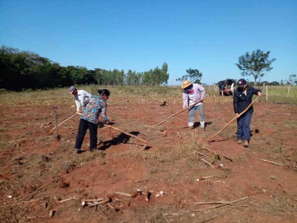 Productores de sandía inician siembra en San Estanislao - Nacionales - ABC Color