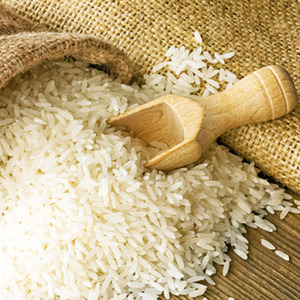 El área sembrada de arroz en Colombia creció 14% | Internacionales | 5Días