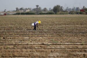 La producción agropecuaria creció 4 % en Perú, de enero a abril de 2022 - MarketData