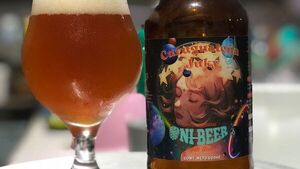 Ofrecen curso sobre cómo preparar cerveza artesanal