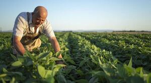 En seminario virtual del MERCOSUR se abordaron avances en materia de agricultura y ganadería sostenible