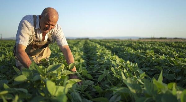 En seminario virtual del MERCOSUR se abordaron avances en materia de agricultura y ganadería sostenible