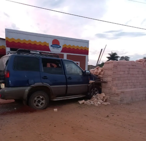 Sufrió un ataque de asma al volante, chocó contra ladrillos y murió