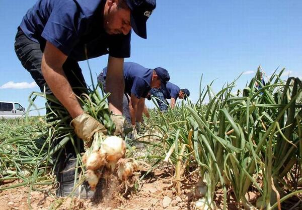 Apoyo a todos los rubros, mecanización de parcelas, acondicionamiento de suelo: Planes del MAG para lo que resta del año