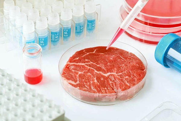 Diario HOY | Video: Llega la "carne" de laboratorio, desde la Rural se preparan con ley en mano