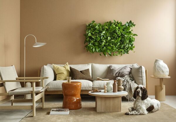 Esta tendencia decorativa usa plantas para reducir el estrés