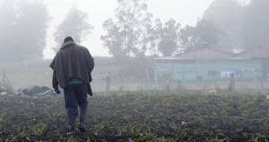 La Nación / Sector frutihortícola sigue bajo riesgo de heladas, según perspectivas agrometeorológicas