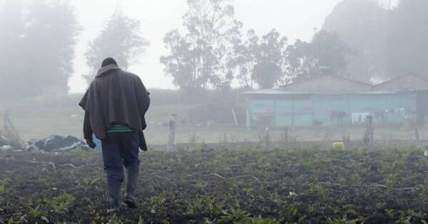 La Nación / Sector frutihortícola sigue bajo riesgo de heladas, según perspectivas agrometeorológicas