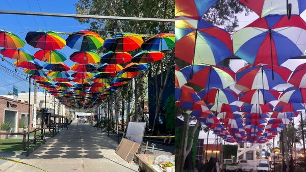 Cambiaron sombrillas de la EXPO tras roncha por colores