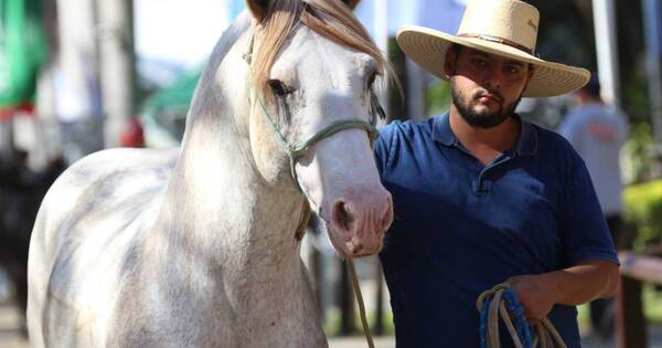 La Nación / Hay buenas expectativas para el primer remate de la Expo