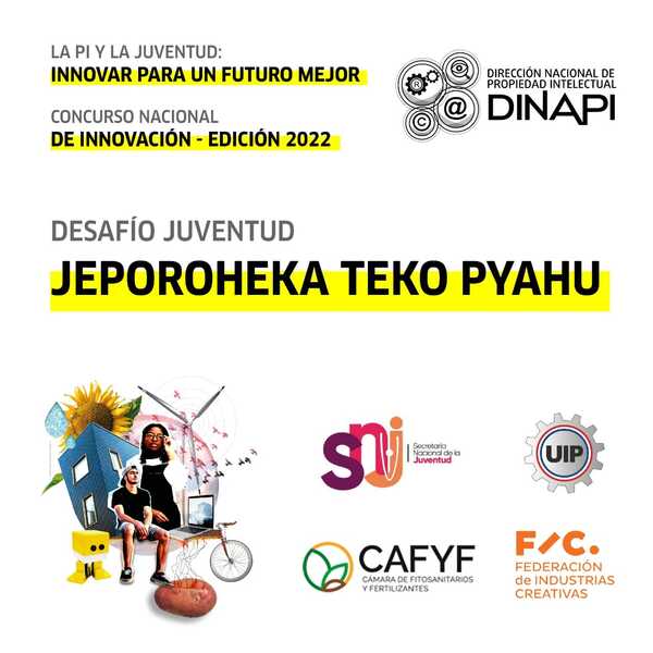 Dinapi lanza innovador concurso de ideas, orientado a los jóvenes | Ñanduti
