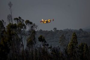 Casi 1.500 bomberos combaten 8 fuegos en Portugal ante meteorología extrema - Mundo - ABC Color