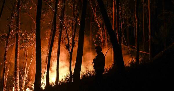 La Nación / Tres incendios forestales amenazan en Portugal