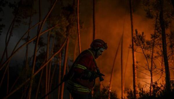 Cerca de 1.500 bomberos combaten incendios en Portugal, que se prepara para riesgo máximo - .::Agencia IP::.