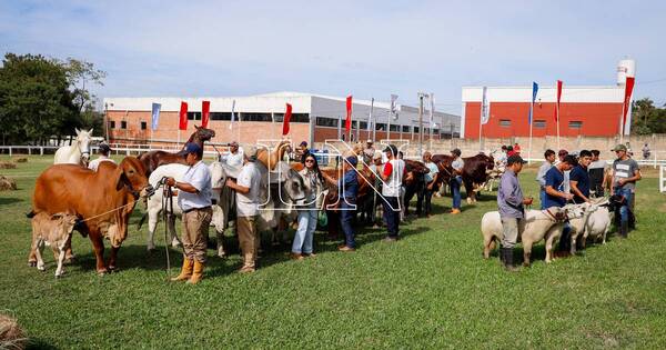 La Nación / Congreso internacional e incorporación de nueva raza serán las novedades en la Expo Ganadera