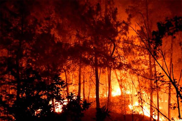 Crónica / Hendy y no macana en Portugal con un feroz incendio forestal