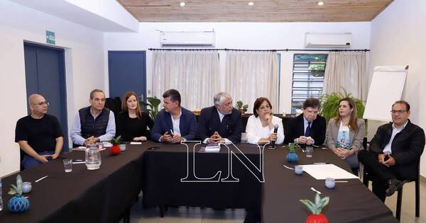 La Nación / Opositores presionarán a la Corte para utilizar el padrón nacional en sus internas partidarias