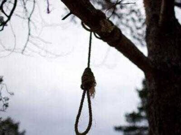 Joven se suicida con sábana en el árbol del patio de su casa - Radio Imperio