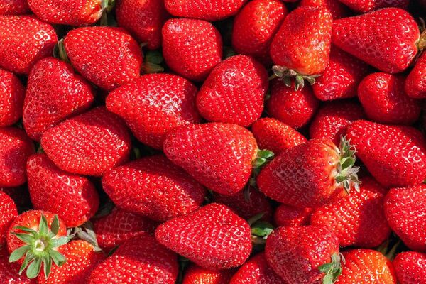 Diario HOY | Cuáles son los beneficios de la frutilla para el organismo