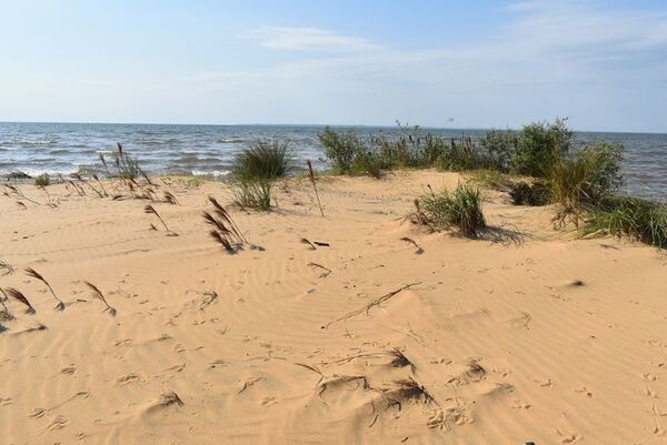 Dunas de San Cosme y Damián: un atractivo turístico que se apaga, pero aún puede ser visitado - Viajes - ABC Color