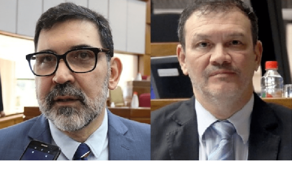 Tony Apuril y Tito Ibarrola se alejan de Hagamos y van por “Diputados y Senadores por la Patria”