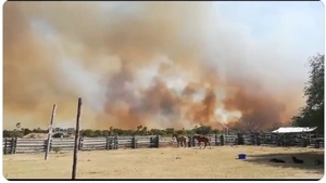 Incendio de grandes dimensiones en Bahía Negra | 1000 Noticias