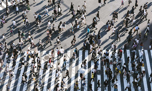 El mundo se proyecta a alcanzar 8.000 millones de habitantes este año - OviedoPress