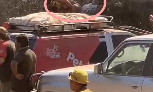 ¡Parejita en pleno “ku otro” en el rally, ndaje!