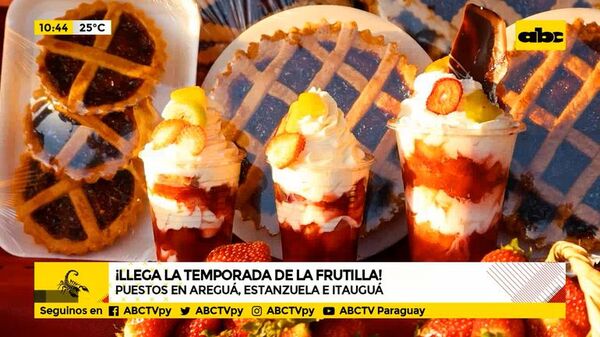 Cómo trabaja la Asociación de productores de frutilla - ABC Noticias - ABC Color