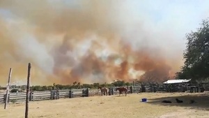 Diario HOY | Incendio forestal consumió alrededor de 80 hectáreas en Bahía Negra