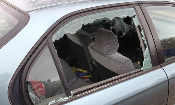 Nuevamente tortoleros hacen de las suyas en San José de los Arroyos - OviedoPress