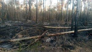 Incendio consumió 70 hectáreas en el Chaco