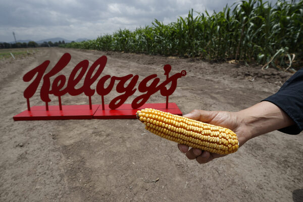 Kellogg impulsa proyectos de conservación y maíz amarillo en México - MarketData