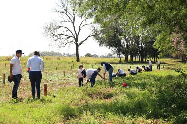 Diario HOY | Plantarán 4.000 árboles al año en la Reserva Guarapi