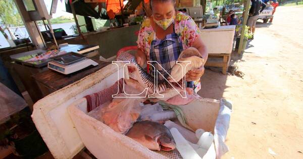 La Nación / Sube el precio del pescado a causa de la escasez y del aumento del combustible, afirman